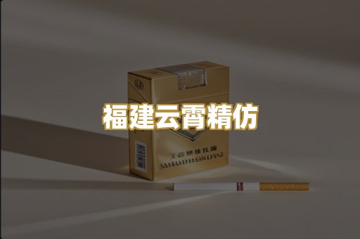 福建云霄精仿